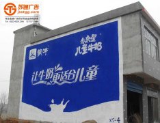 <b>墙体广告的优势及好处</b>
