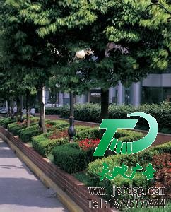 园林绿化