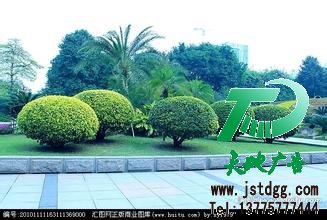 园林绿化