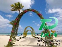公司在做活动都需要用的到活动策划