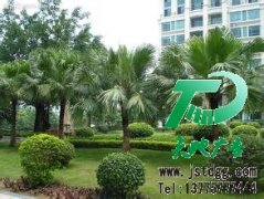 公司外围和庭院同样需要用到园林绿化