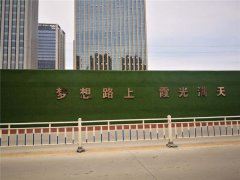 泰州地产围挡草坪找哪家强！